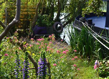 Charming houseboat between Rotterdam and Delft - 18