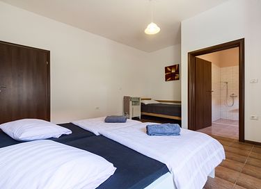 Groot vakantiehuis met zwembad in Istrië - 20