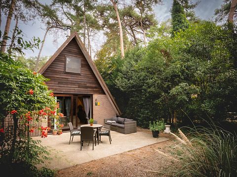 A-frame cottage (4p) in Belgian Limburg - 2