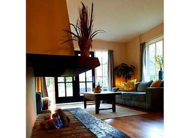2 maisons la forêt adjacentes dans Drenthe - 39