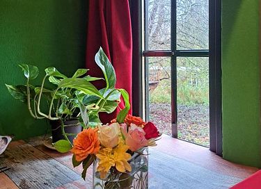 tiny house colorée dans le verger - 9