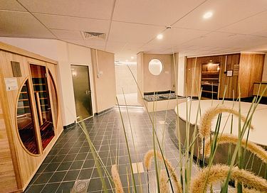 Studio acceptant les chiens (2 personnes) à Terschelling - 24