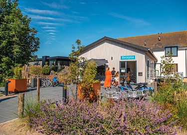 Holiday home on Texel near beach and sea - 23