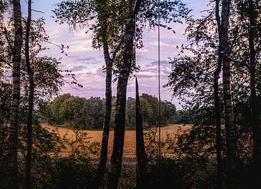 Luxuriöse Wald-Lodge  - 12