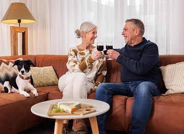 Pet-friendly accommodations in Zoutelande - 17