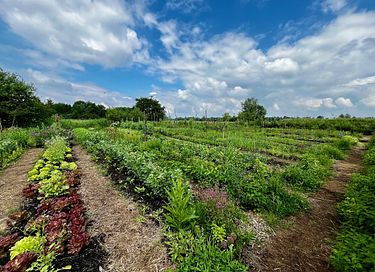 Tiny house dans un lieu unique - 39