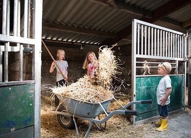 Glamping op Paarden & ponyboerderij - 10