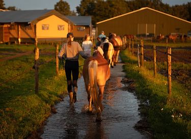 Glamping op een paardenboerderij - 6