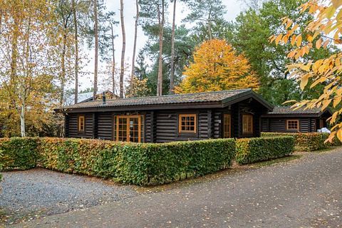 Chalet rustique dans le Veluwe - 2