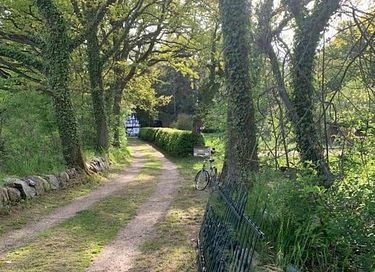 Historische watermolen in groene omgeving - 50