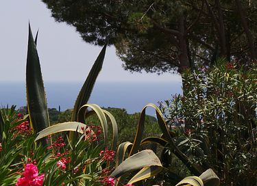 Stimmungsvolle Casita mit Meerblick - 41