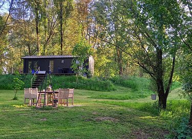 Tiny house overlooking a beaver's lair! - 2