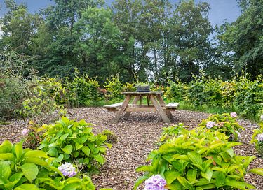 Luxe kapschuur in Friese natuur met jacuzzi - 22
