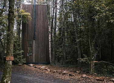 Tour de couchage unique (8 mètres) dans la forêt - 27