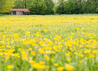 Waldhäuschen auf schönem Landgut - 3