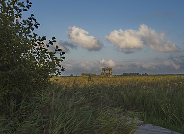 Geniet van rust in dit historisch woudhuisje - 27