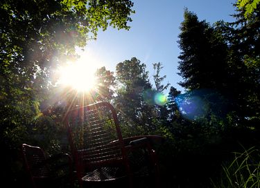 Roulotte tzigane dans les bois avec cheminée - 30