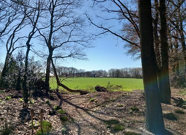 Waldhaus mit herrlicher Aussicht - 34