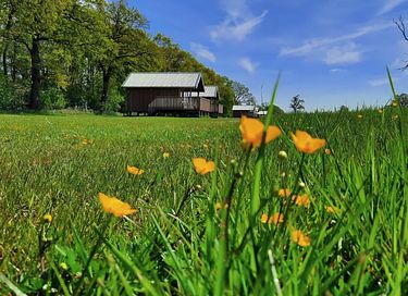 Natuurlodge voor 4 personen in Drenthe - 26