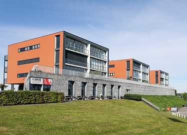 Dog-friendly stay at the Oosterschelde - 18
