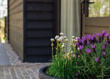 Romantic overnight stay with sauna and jacuzzi - 35