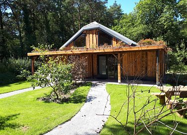 Wunderschöner Holzbungalow im Wald