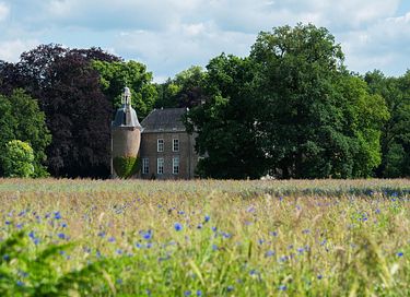Wellness en weids uitzicht in het groen - 24
