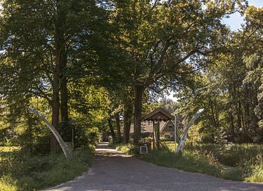 Attractive log cabin close to beach and sea - 16