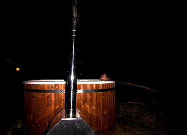 Glasjurte im Wald - 15