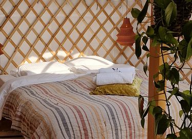 Authentic yurt with private bathroom - 9
