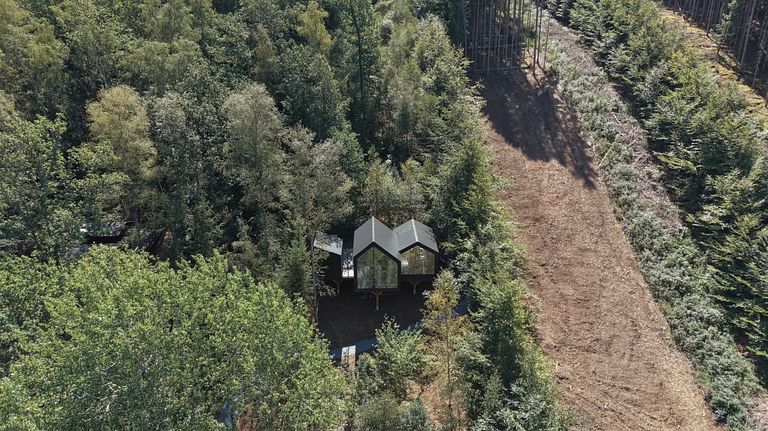 A unique overnight stay among the trees - 1