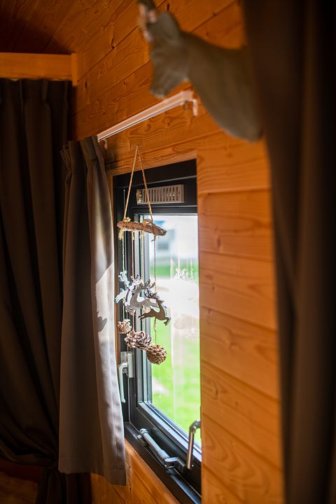 Unique tiny house (4p) near Valkenburg - 5