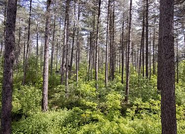 Maison unique dans la forêt avec bain à remous - 4