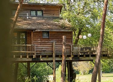 Boomhut Drenthe met groot terras - 15