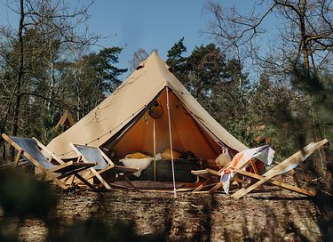 Festival-achtige sfeer op een pop-up camping - 6
