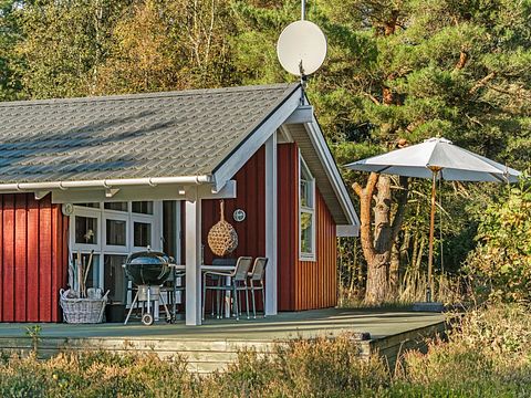 Gezellig vakantiehuis midden in het bos - 3