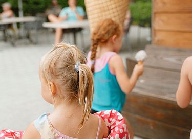 Logement de vacances en bois (4p) à Overijssel - 20