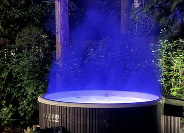 Boshuis met wellness in Drenthe - 2