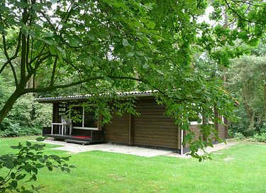 Gemütliches Ferienhaus in der Landschaft von Drenthe - 2
