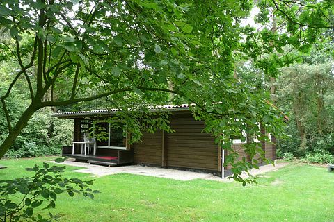 Gemütliches Ferienhaus in der Landschaft von Drenthe - 2