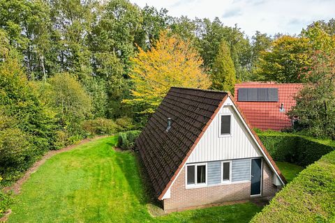 Maison dans la forêt à Drenthe - 2