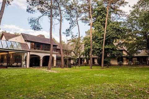 Boutique forest hotel with wellness - 2