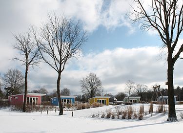 Kleurig chalet voor 4 personen in Gelderland - 15