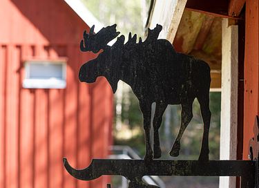 Off-grid Cabin in the middle of Swedish nature - 4