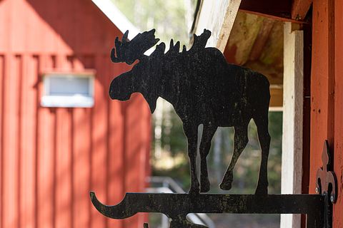 Off-grid Cabin in the middle of Swedish nature - 4