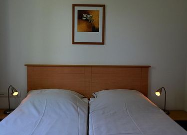 Luxe 8-persoons vakantiehuis met wellness - 9