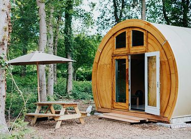 Gemütliches Ferienhaus zwischen den Bäumen in Drenthe