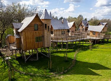 Treelodge avec sauna dans les Ardennes - 37