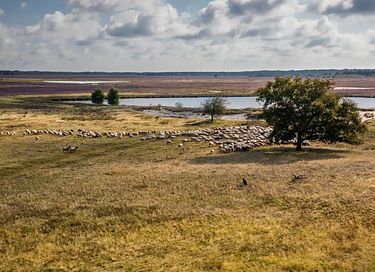 Sfeervolle vakantiewoning (4p) in Drenthe - 19
