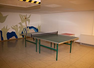 Appartement Winterberg naast de piste - 19